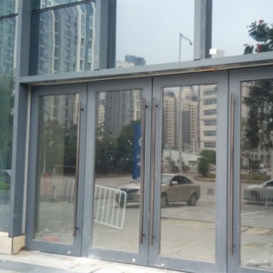 Curtain Wall Doors