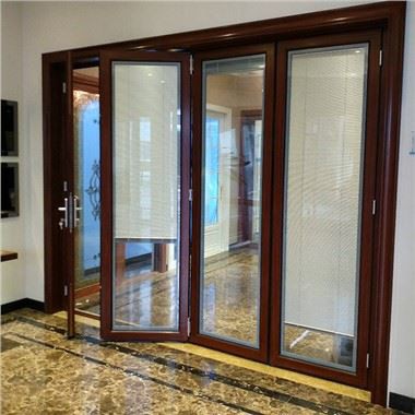 Aluminum Main Door